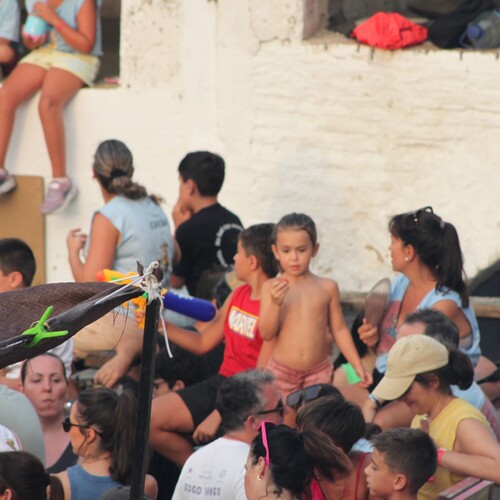 toros 16 agosto 2025 (11)
